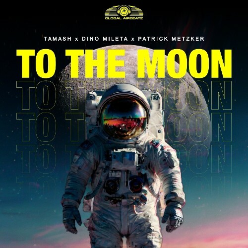  Tamash x Dino Mileta x Patrick Metzker - To the Moon (2025) 