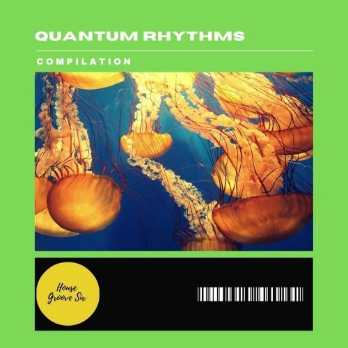 VA | Deep Muudy - Quantum Rhythms 2024 год Скачать Онлайн в Mp3 (Бесплатно)