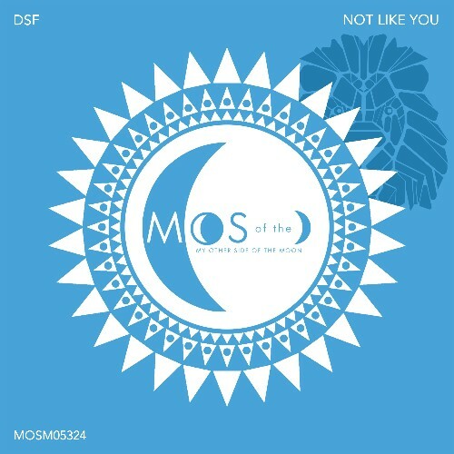 DSF - Not Like You (2024)