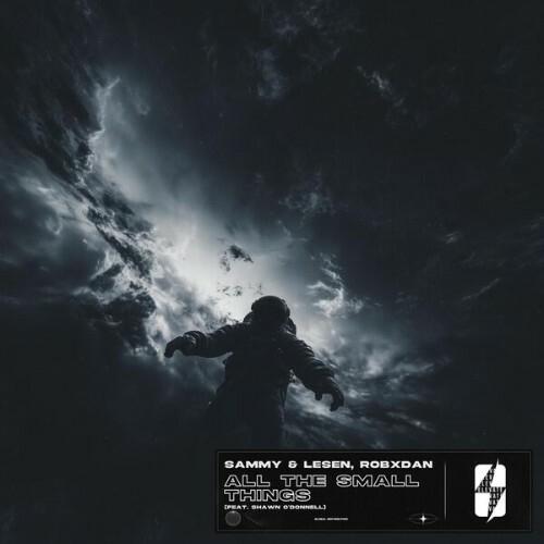  Sammy & Lesen x RobxDan feat Shawn O'Donnell - All the Small Things (2025) 