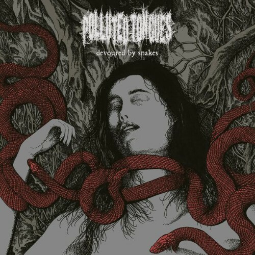  Polluted Tongues - Devoured By Snakes (2026) 
