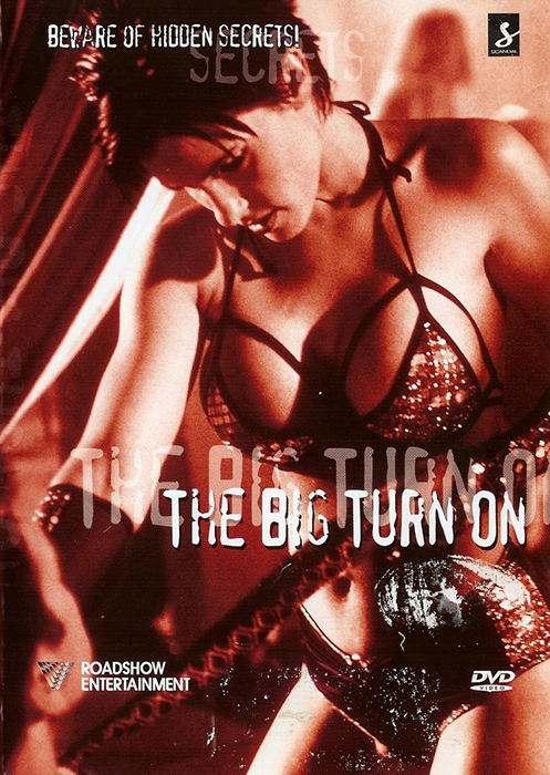 Scandal: The Big Turn On / Скандал: Крутой поворот (Howie Hoax) [2000 г., Erotica, Drama, DVD5]