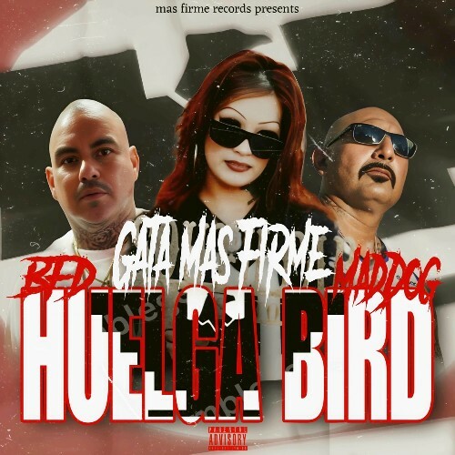  Gata Mas Firme - Huelga Bird (Feat. BFD & Mad Dog) (2025) 