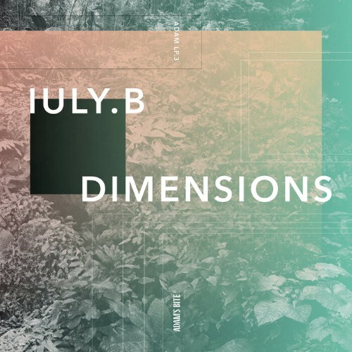  IulyB - Dimensions (2024) 