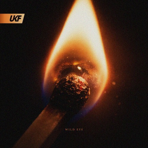  Blooom ft. JYXE - Wild Eye (2026) 