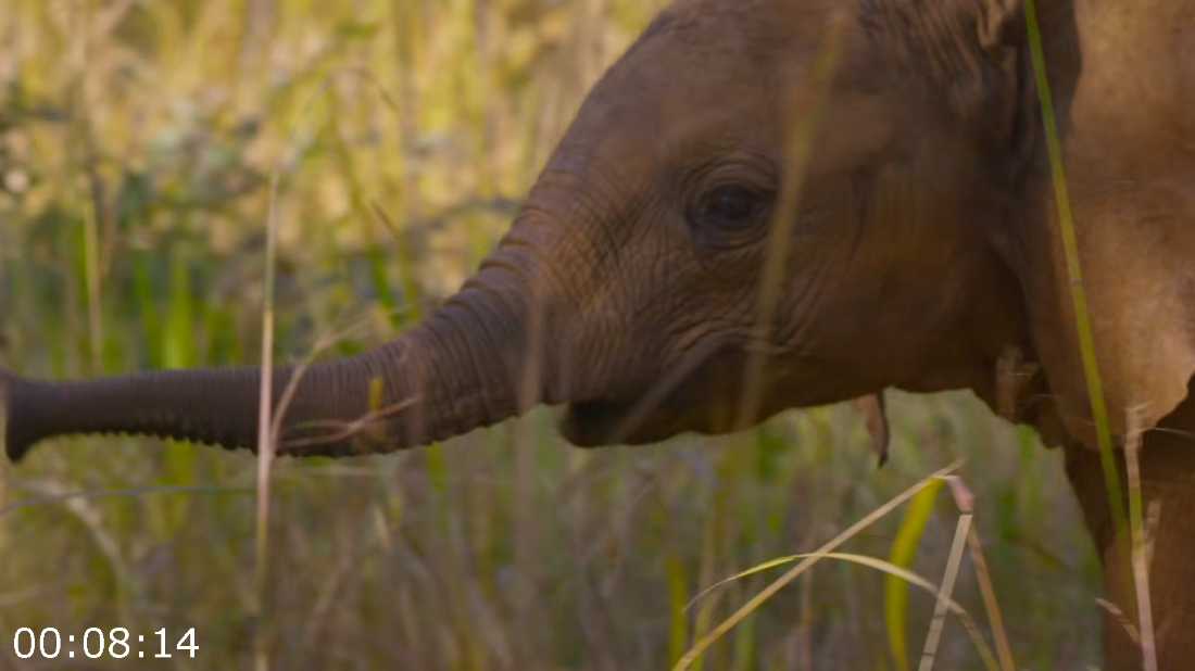 [Image: ME18VT84_o.png]