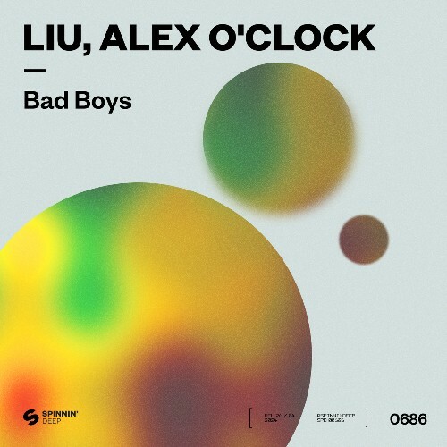 VA - Liu, Alex O'Clock - Bad Boys (2024) (MP3) METL2U0_o