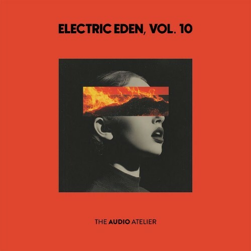  Electric Eden, Vol. 10 (2026) 