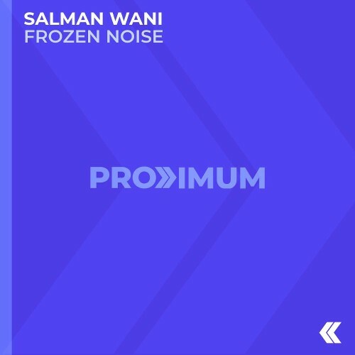  Salman Wani - Frozen Noise (2025) 