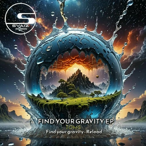 VA - Toms - Find Your Gravity (2024) (MP3) METIIRZ_o