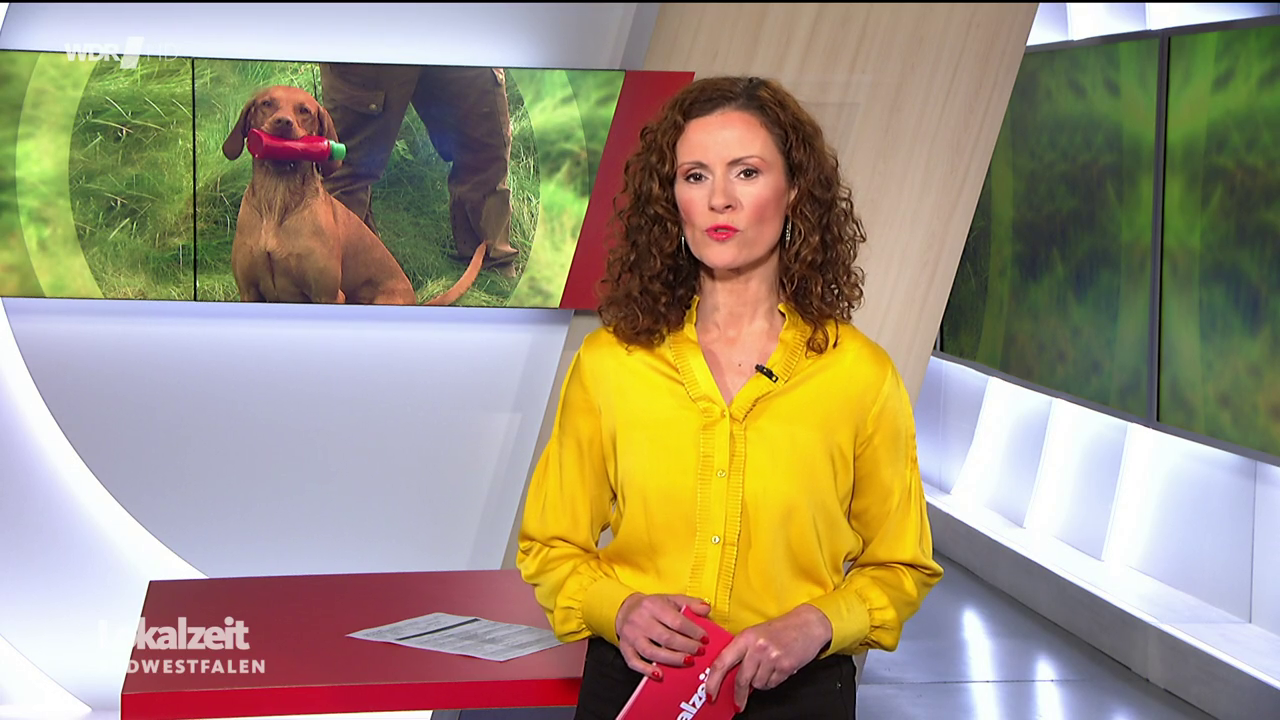 Anne Willmes - °WDR Lokalzeit SÜDWESTFALEN° 02.11.2023 - 111X Caps_85.png