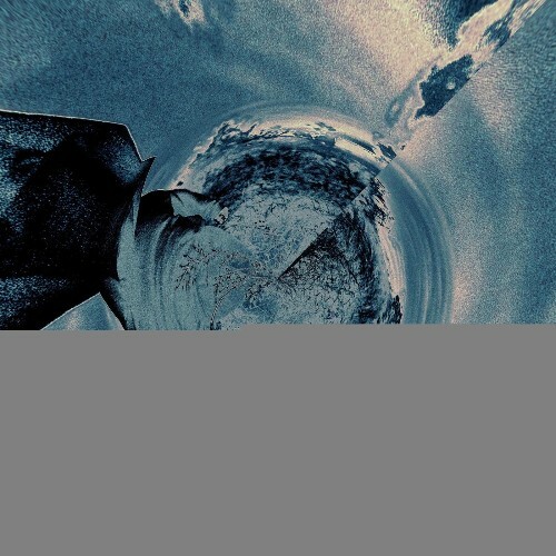 Ver2gris - Fl Cash (2026) 