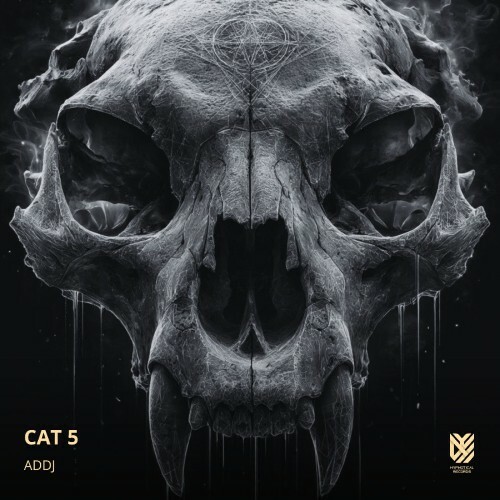  ADDJ - CAT 5 (2026) 