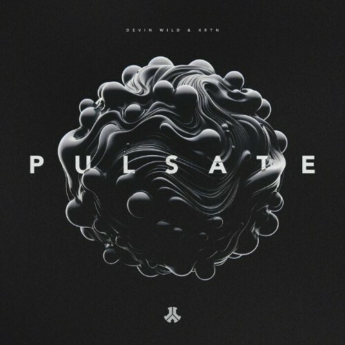  Devin Wild & XRTN - Pulsate (2024) 