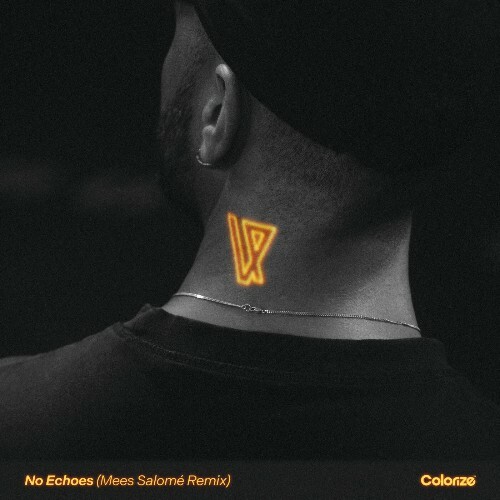  Estiva - No Echoes (Mees Salom&#233; Remix) (2025) 