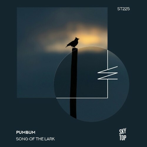  pumbum - Song of the Lark (2024) 