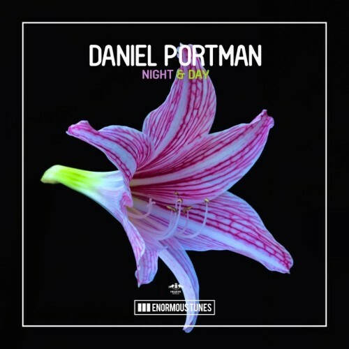 VA - Daniel Portman - Night and Day (2022) (MP3)