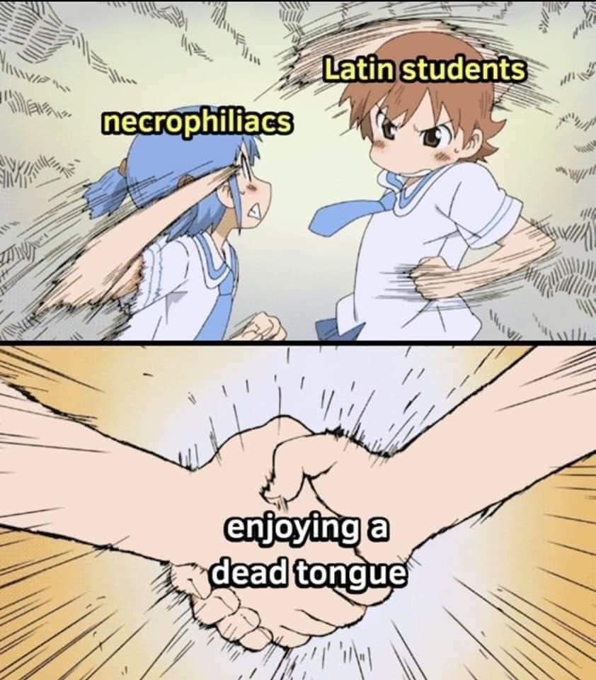 MEQSJGM_o.jpg