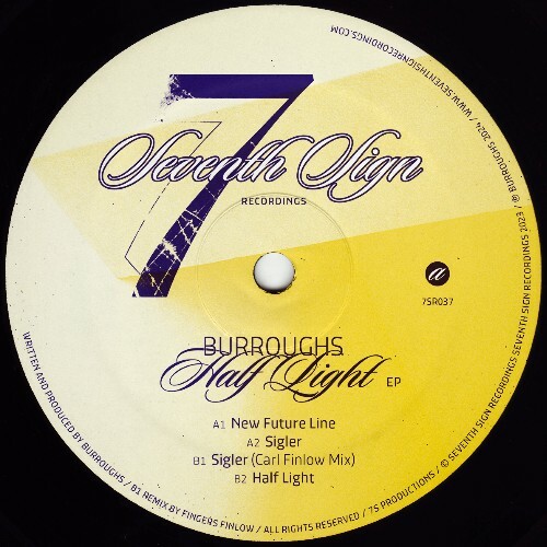 VA - Burroughs - Half Light (2024) (MP3)