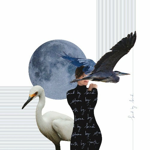  Suzanna Choffel - Bird by Bird (2024) 