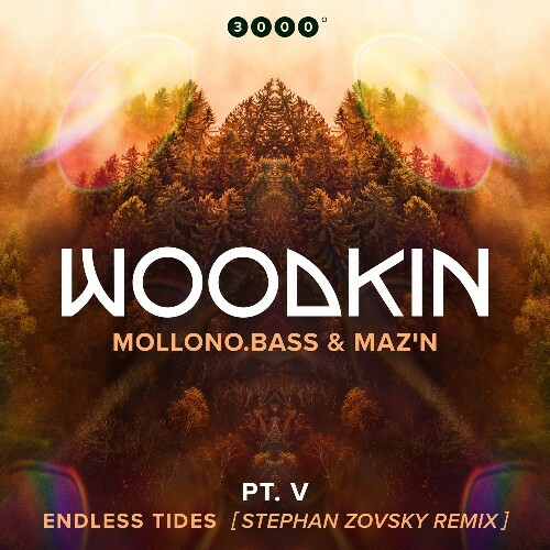 WOODKIN — Endless Tides (Stephan Zovsky Remix) (2026)