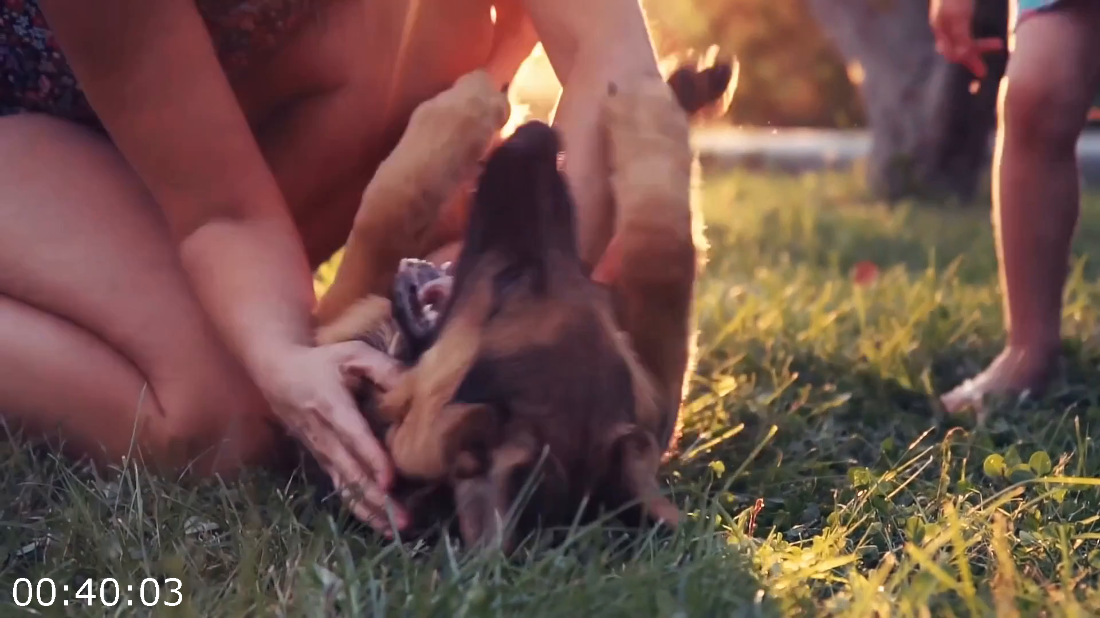 [Kép: ME19XWHI_o.png]