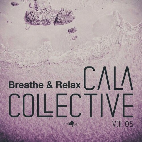  Cala Collective, Vol.05 (2025) 