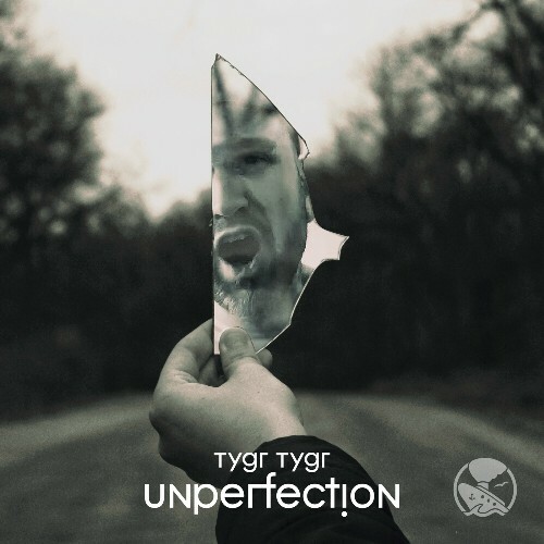  TYGR TYGR - Unperfection (2024) MP3 METTLDG_o