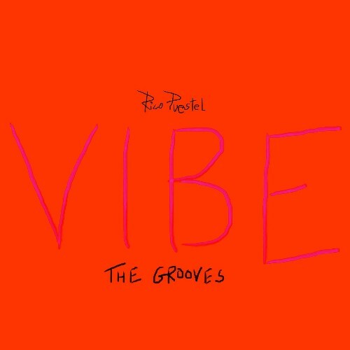 Rico Puestel - VIBE - The Grooves (2026) Rico Puestel - VIBE - The Grooves (2026)