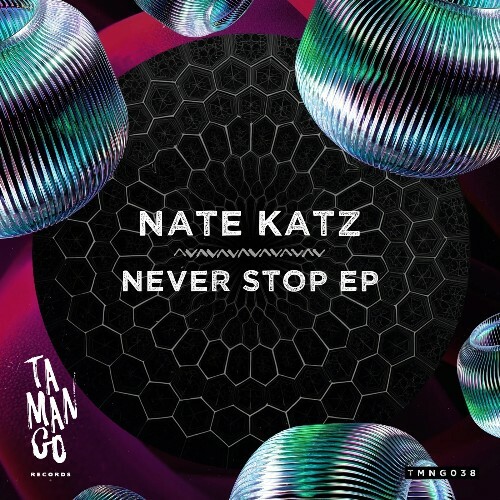  Nate Katz - Never Stop (2026) 