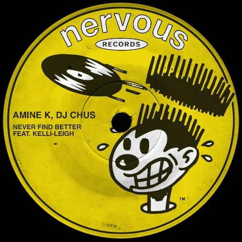  Amine K & DJ Chus ft Kelli-Leigh - Never Find Better (2026) 