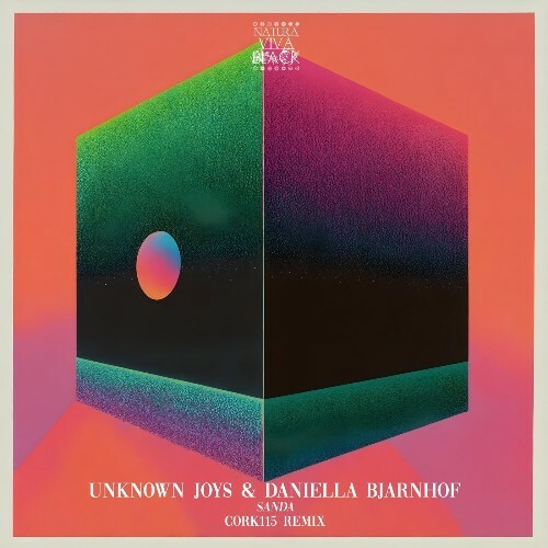  Daniella Bjarnhof, unknown joys - Sanda (2025) 