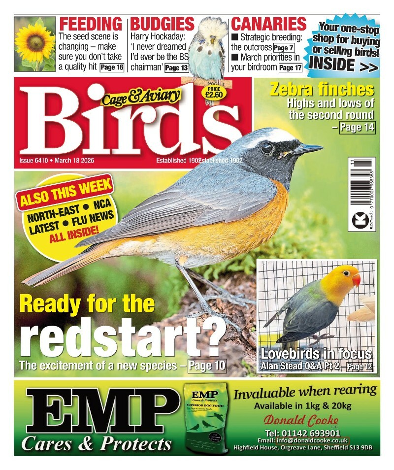 [Kép: ME1BFU8D_o.jpg]