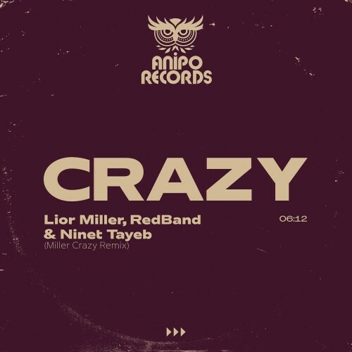  Lior Miller feat. Red Band and Ninet Tayeb - Crazy (Remix) (2024) 