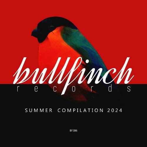  Bullfinch Summer 2024 Compilation (2024) 