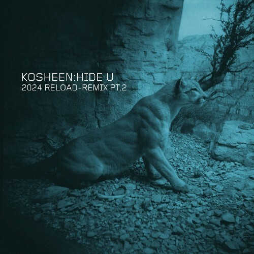  Kosheen - Hide U (2024 Reload-Remix, Pt.2) (2024) MP3 MEV1A6G_o