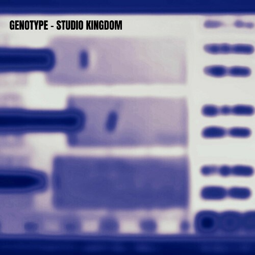 VA -  Genotype - Studio Kingdom (2024) [MP3] MEV089N_o