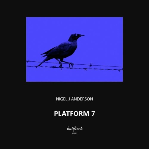  Nigel J Anderson - Platform 7 (2024) 