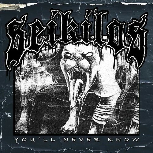 Seikilos - You'll Never Know (2025) Seikilos - You'll Never Know (2025)