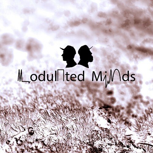  Modulated Minds - Take One (2025) 