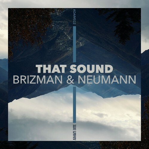  Brizman & Neumann - That Sound (2026) 