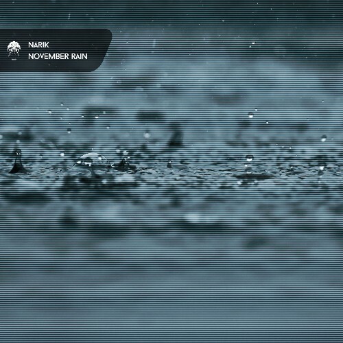  Narik - November Rain (2025) 