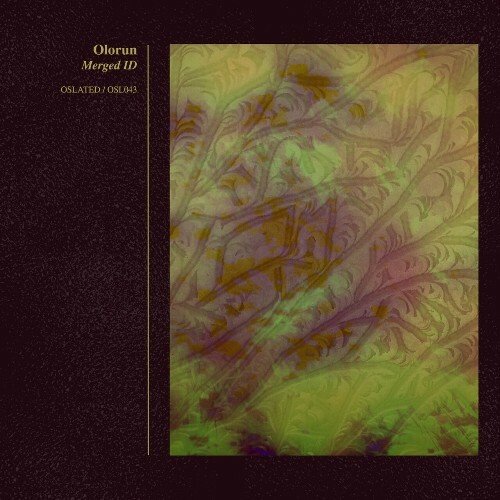  Olorun - Merged ID (2026) 