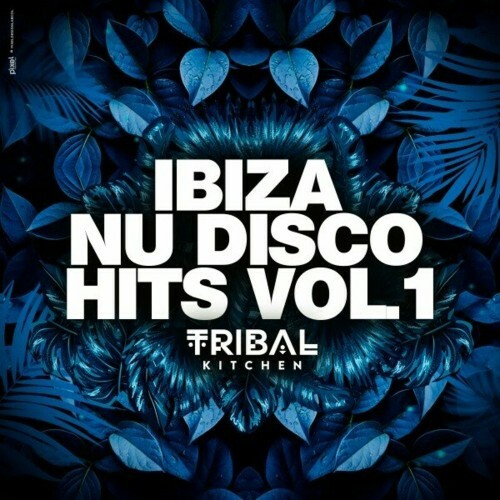  Ibiza Nu Disco Hits Vol. 1 (Tribal Kitchen) (2024) 