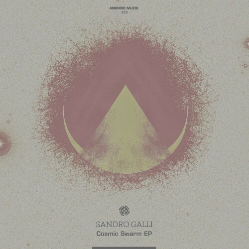  Sandro Galli - Cosmic Swarm (2025) 