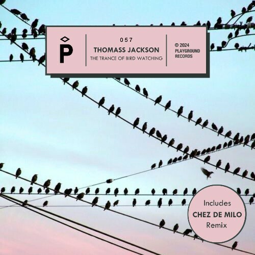 Thomass Jackson — The Trance Of Bird Watching (2024)