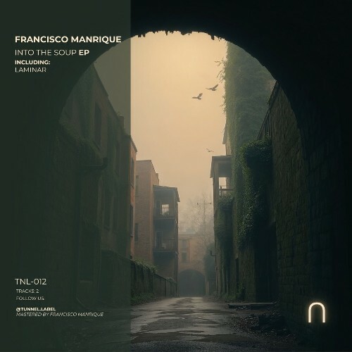  Francisco Manrique - Into the Soup (2025) 