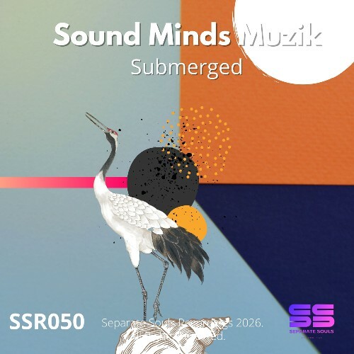 Sound Minds Muzik - Submerged (2026)