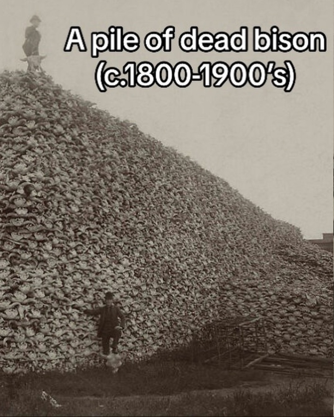 ME1E8XD9_o.jpg