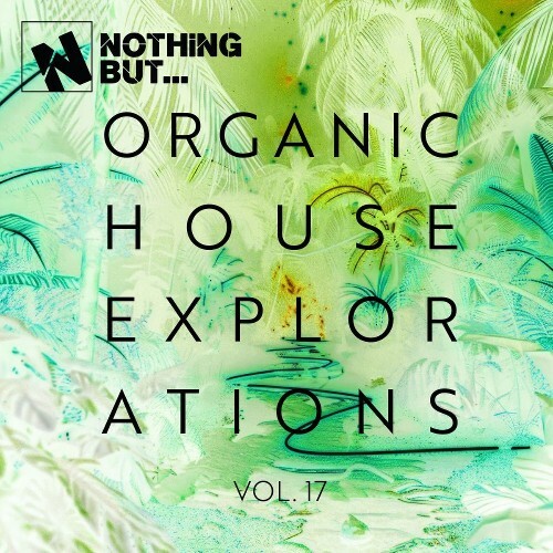 Nothing But... Organic House Explorations, Vol. 17 (2026)